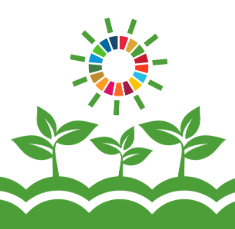 VEP Event: Climate and Sustainable Cities and Communities: Implications and actions for Melbourne